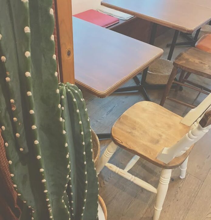 堺カフェ　CAFE&KITCHEN GINGER　店内