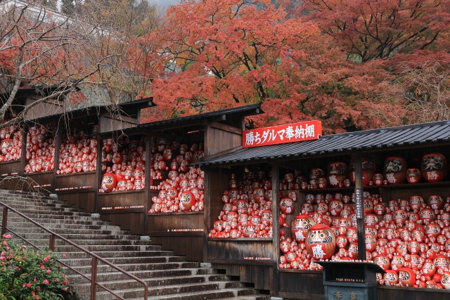 勝尾寺の境内を彩る紅葉とだるま