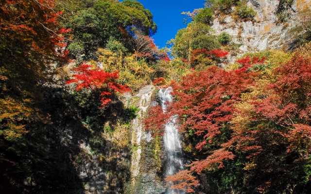 箕面大滝と紅葉が映える秋の風景